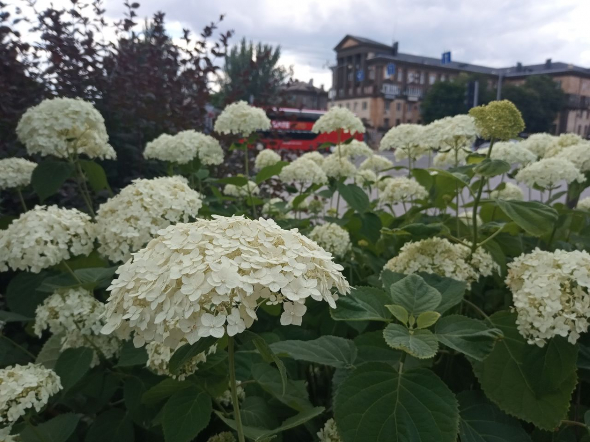 Запоріжжя, фото Світлани Олійник