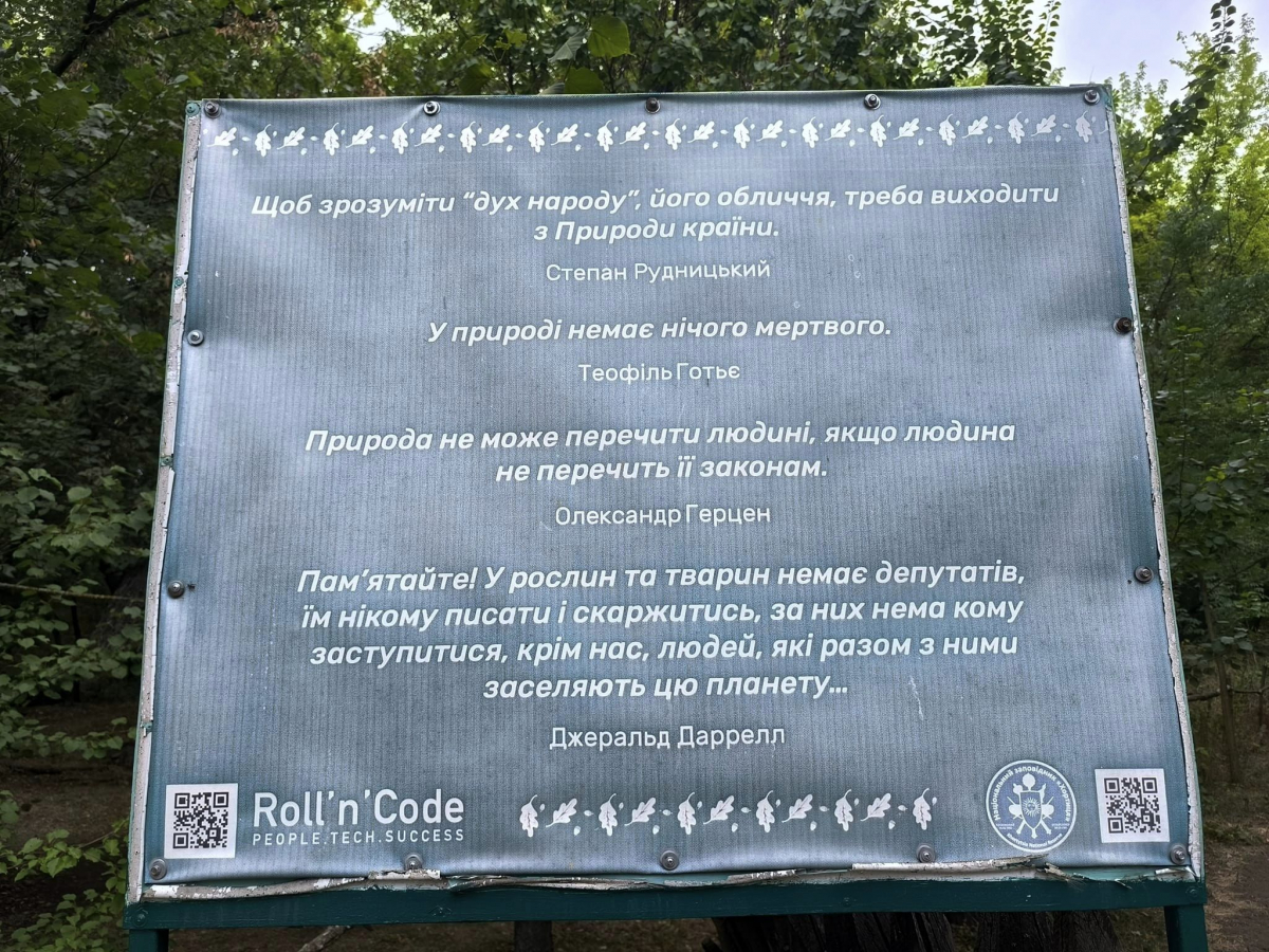 Плавні та Протолче - як зараз виглядає найзаповідніша частина Хортиці (фото)