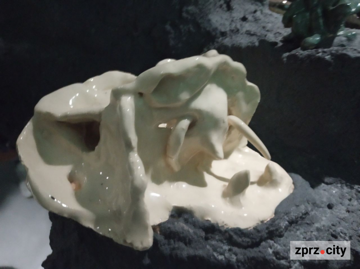 Запорізький центр сучасного мистецтва пропонує зануритись у чужі спогади (фото)