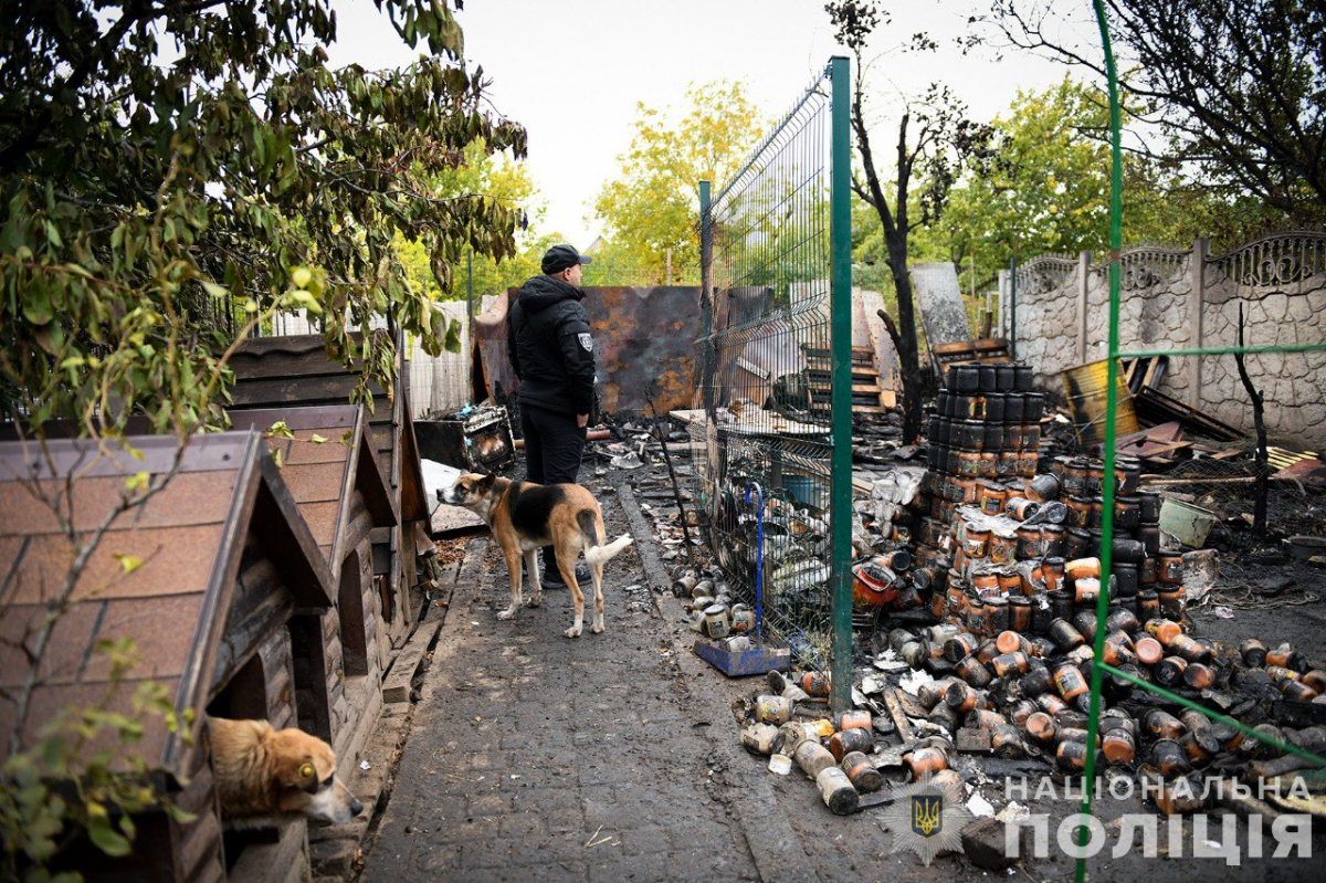 У поліції повідомили причину жахливої пожежі притулку під Запоріжжям, під час якої загинули тварини - фото