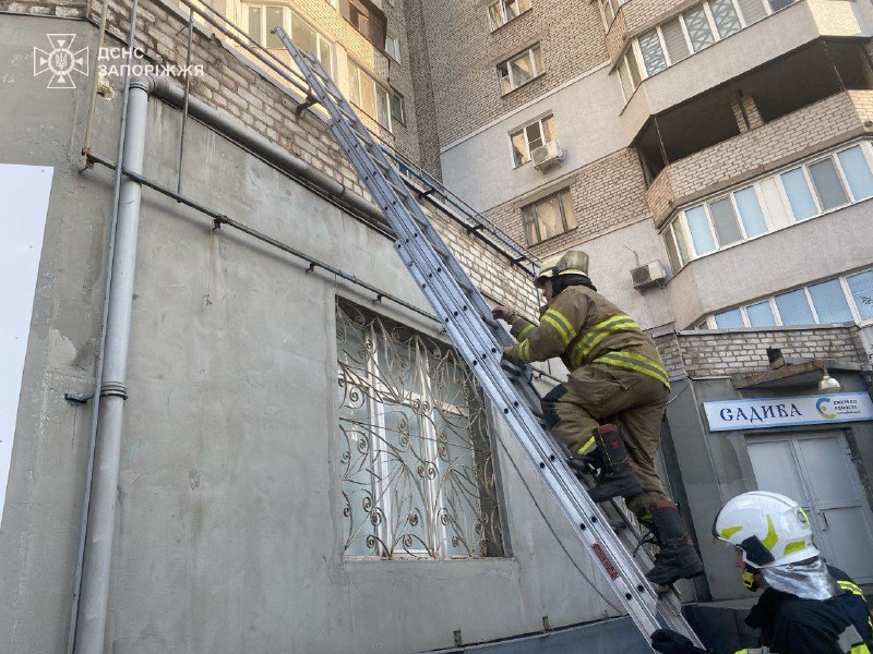 Застрягли у незвичайних місцях - запорізькі надзвичайники врятували двох котиків (фото)