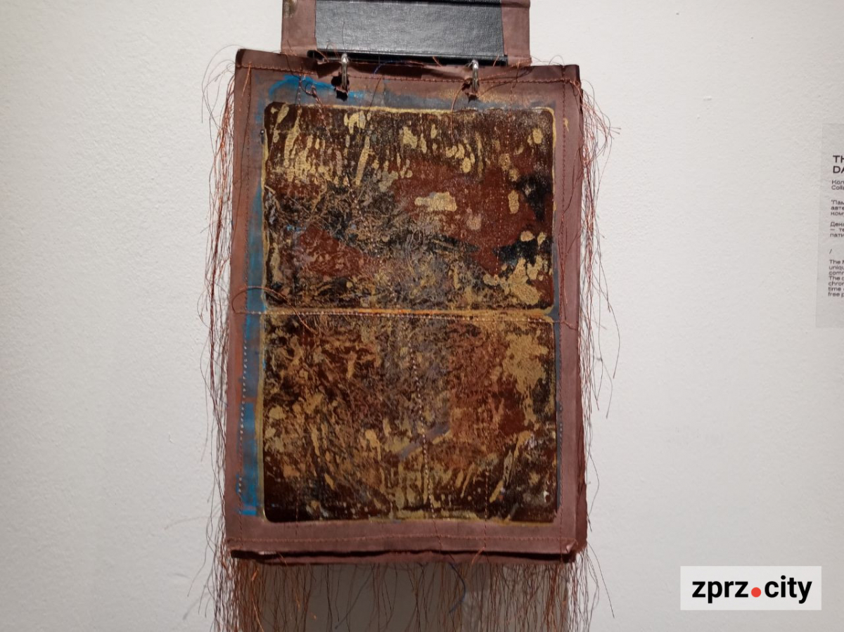 У Запоріжжі показали книгу, вирощену з гриба, та інші незвичайні артбуки - фото