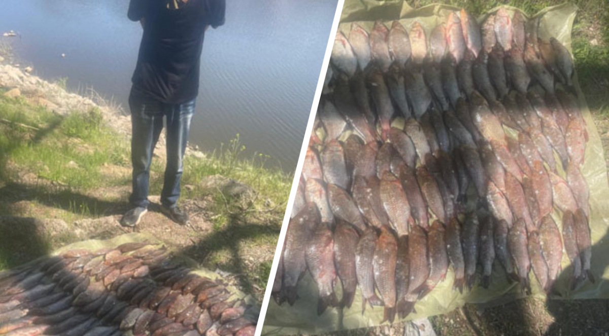 Під час перевірки на річці Дніпро у Запоріжжі інспектори рибоохоронного патруля затримали чоловіка, який незаконно ловив рибу сіткою просто у затоці