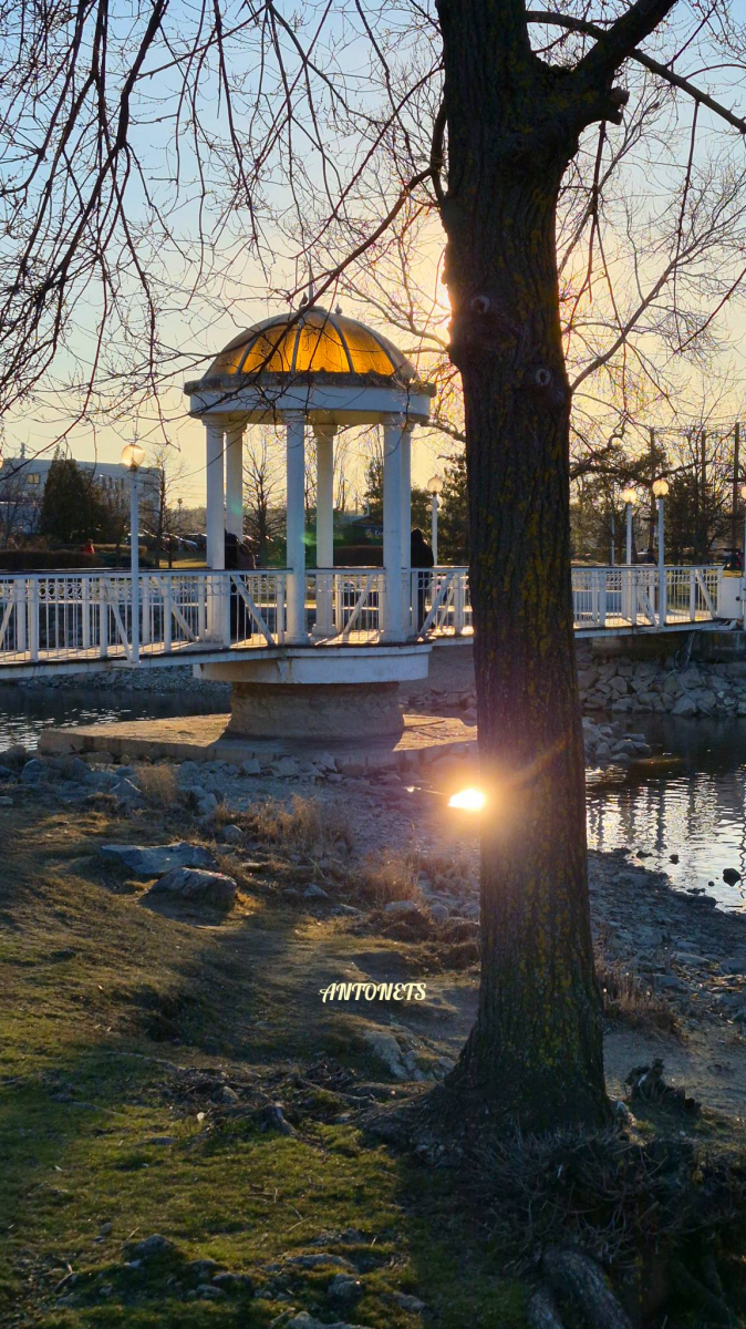 Сонце, качки і перші ознаки весни: як виглядає Вознесенівський парк у Запоріжжі на початку березня (фото)