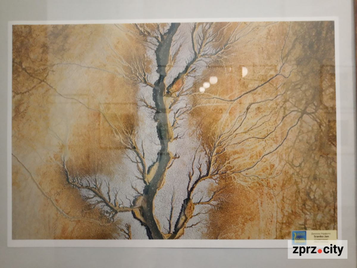 У Запоріжжі відкрили виставку найкращих фотографій з різних країн одного з міжнародних конкурсів - вхід безкоштовний