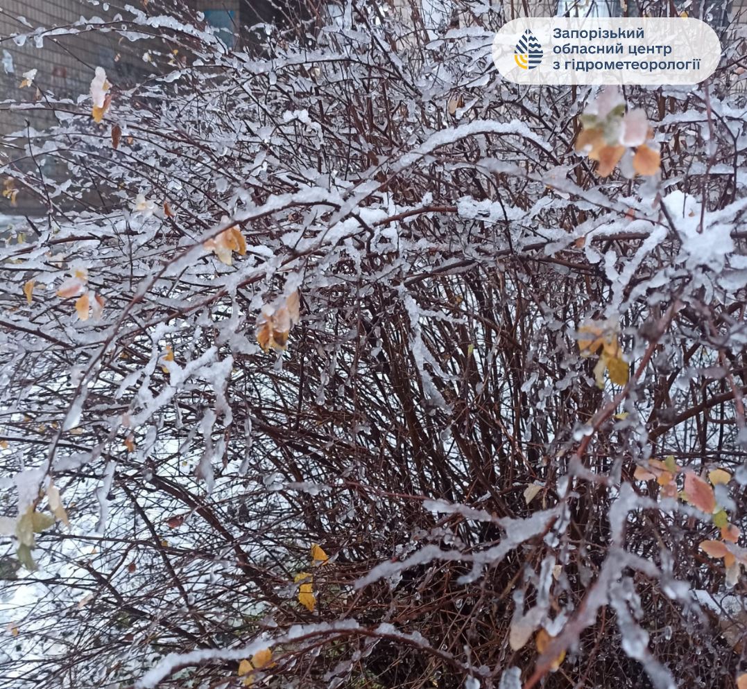 У Запоріжжі почали боротьбу зі снігом - фото перших зимових опадів