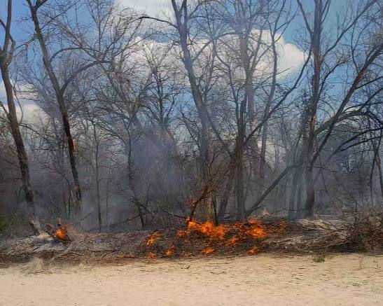 Безвідповідальність відвідувачів призвела до пожежі  – у Запоріжжі другий день поспіль триває боротьба з вогнем (фото)