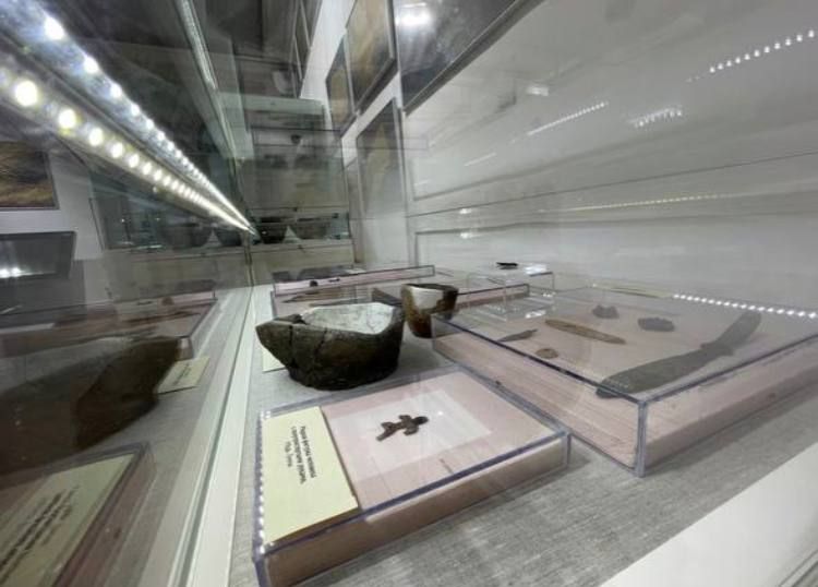 Виставка краденого - окупанти вивезли до Криму понад 120 унікальних експонатів із музею Запорізької області