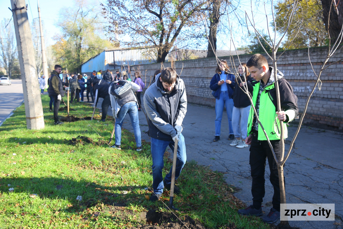Студенти та молоді металурги Запоріжжя висадили понад півсотні дерев
