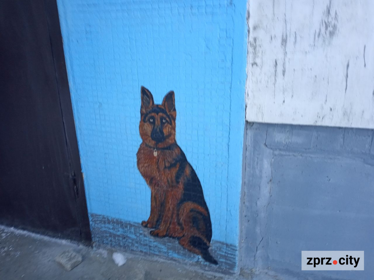 Стало відомо, хто прикрасив запорізьку багатоповерхівку розписами в стилі Марії Примаченко - фото