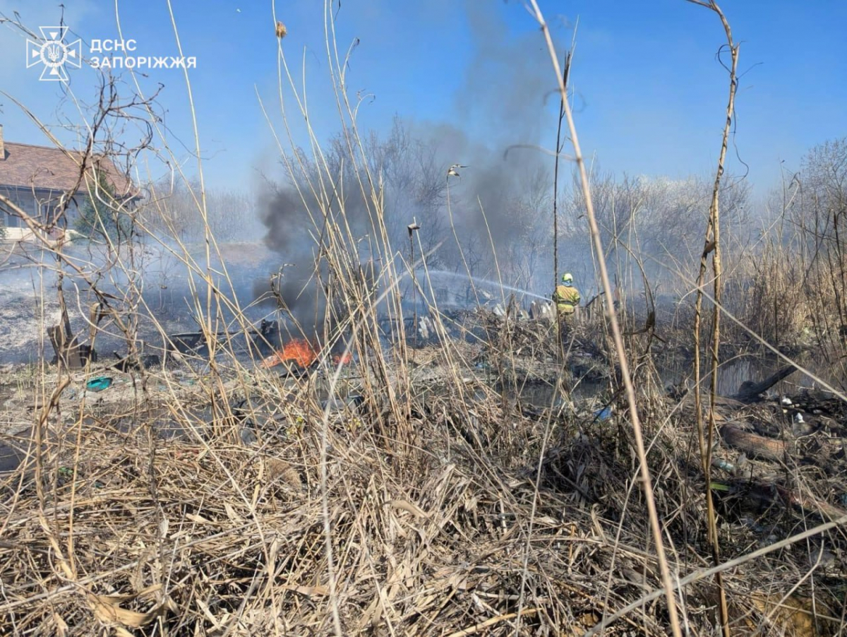 Сонце, вітер і суха трава: на Запоріжжі за добу спалахнуло понад десять пожеж на природі