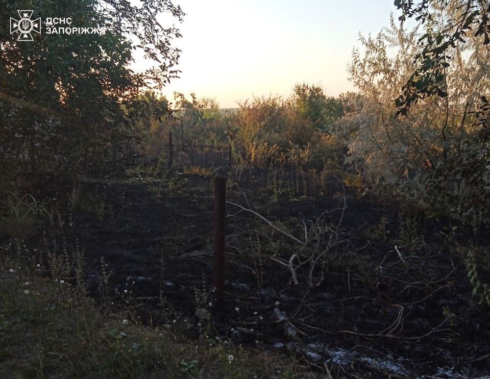 Через загоряння трави на дачах у Запорізькому районі згоріло вісім господарчих споруд - фото