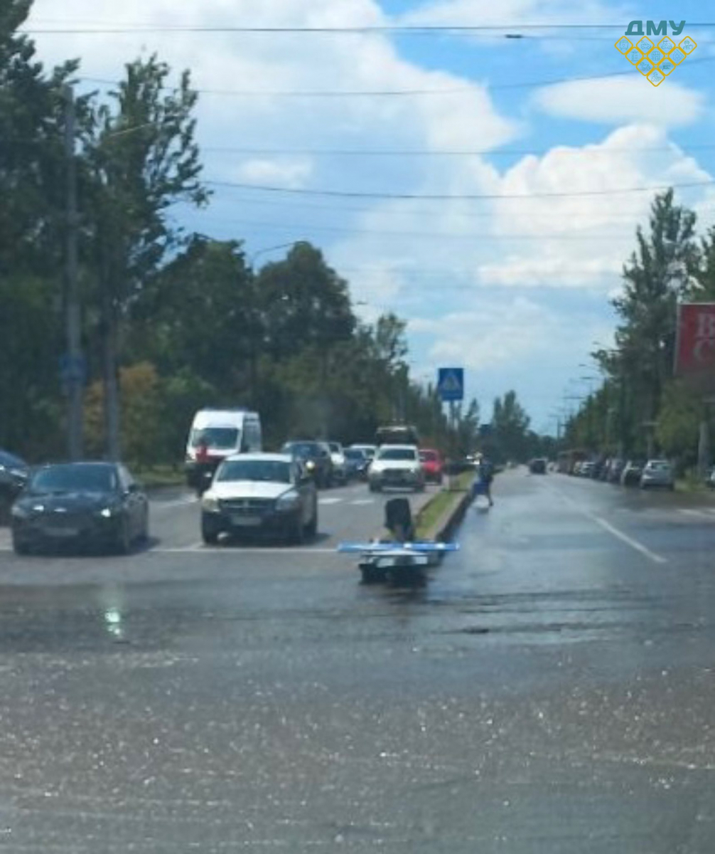 Повалені дерева та стовпи, обірвані мережі, побиті авто - у Запоріжжі комунальники ліквідовують наслідки негоди (фото)