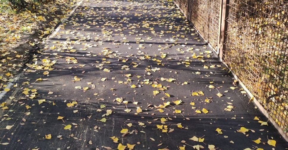 У Запоріжжі поклали тротуар там, де ремонту не було понад 50 років - фото