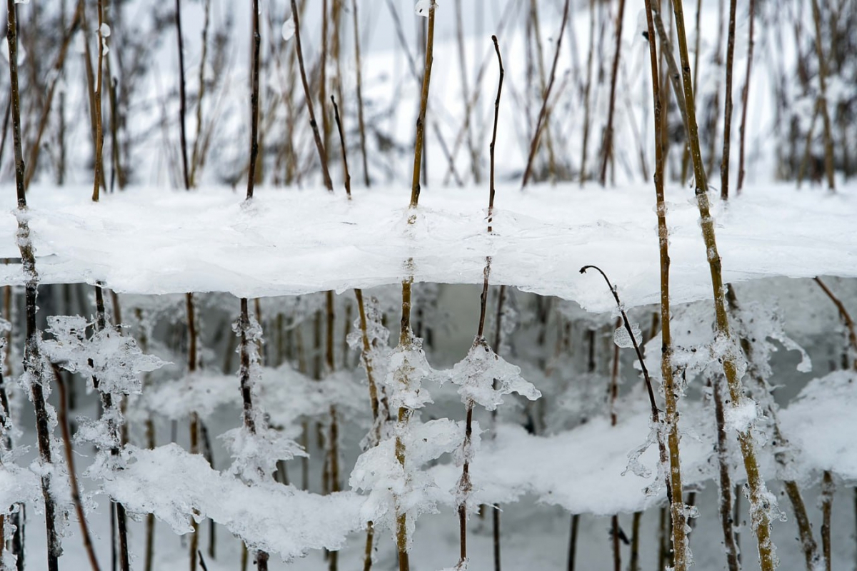 Тепліше, ніж у січні - синоптики спрогнозували, якою буде погода в лютому у Запоріжжі