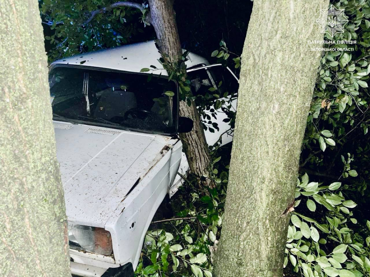 У Запоріжжі водій "під кайфом" врізався в дерево (фото)