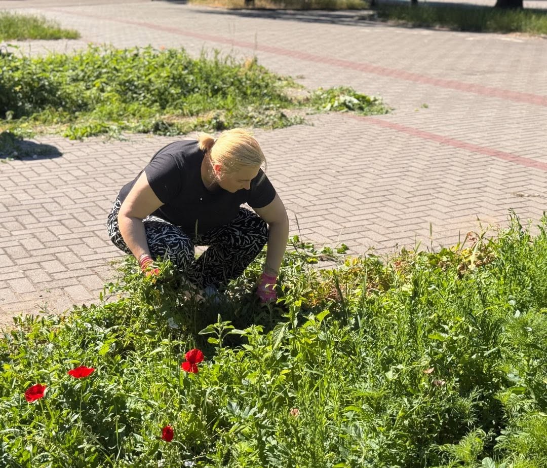 17 видів рослин замість газону: у запорізькому парку розквітли кліматичні клумби (фото)