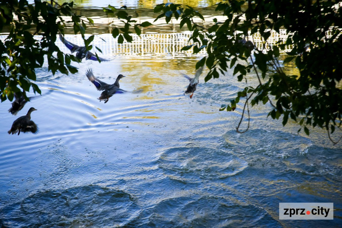 Як виглядає у вересні головний парк Запоріжжя: ексклюзивний фоторепортаж
