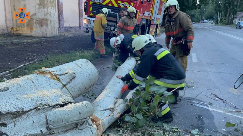 Дерева падали на автомобілі та будинки: що накоїла негода в Запоріжжі - фото, відео