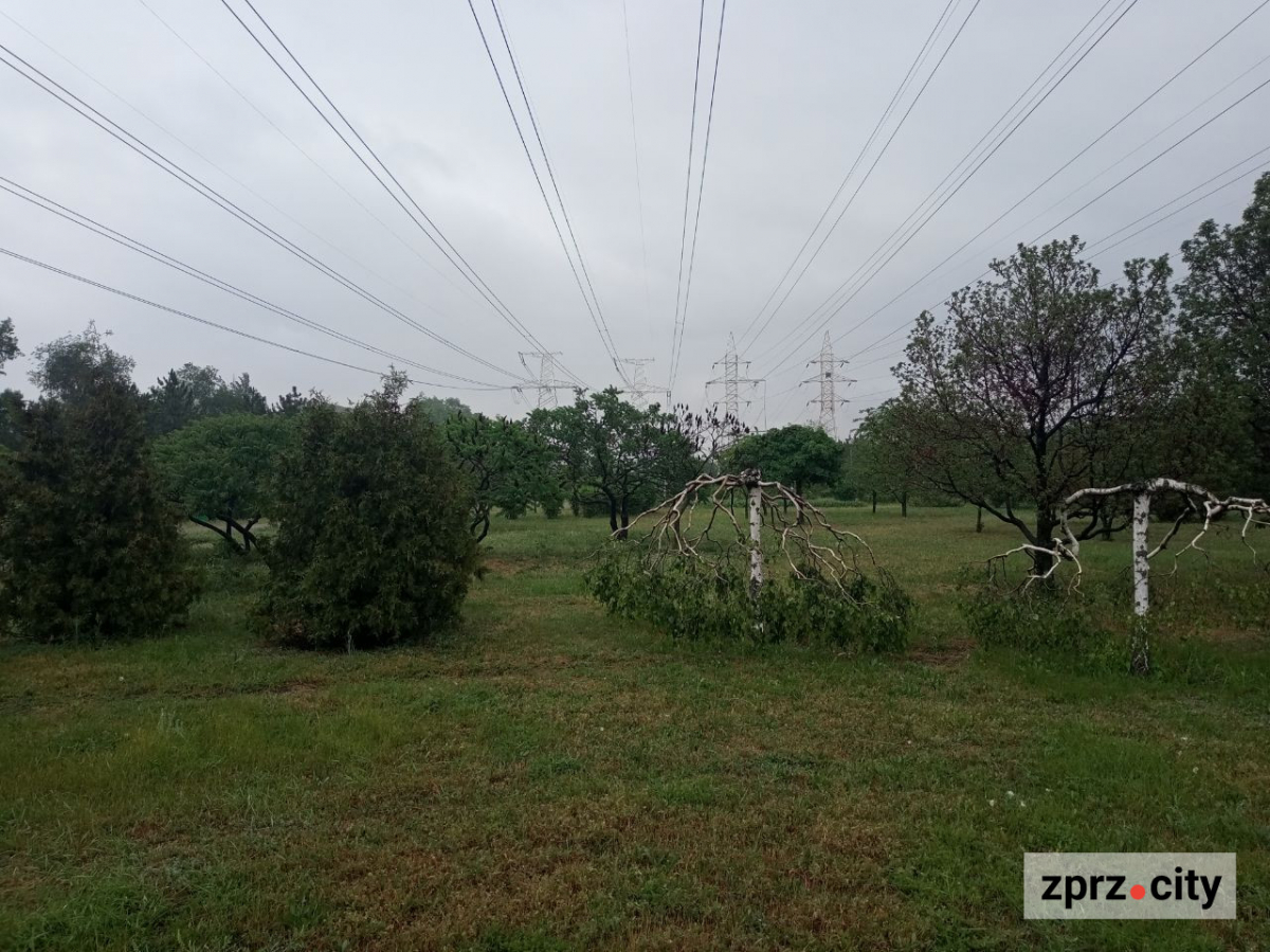 Після дощу сквер у центрі міста виглядає дуже красиво - фото