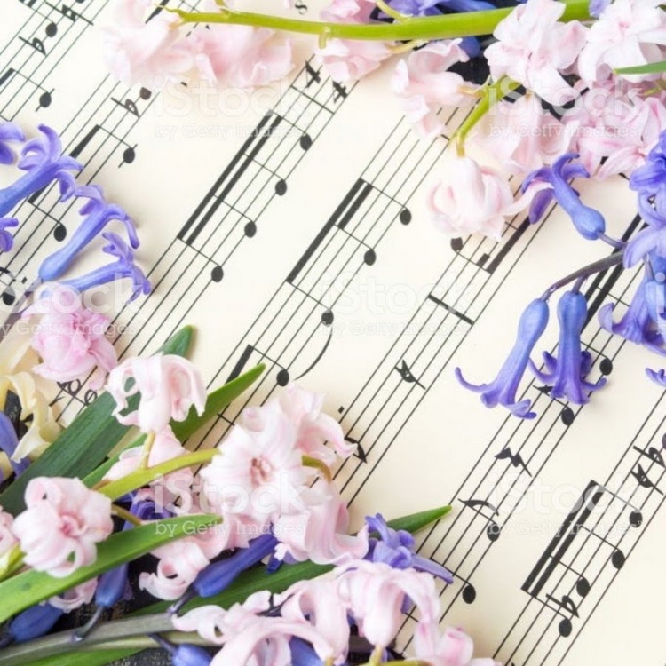 Найближчі прем'єри концертів у запорізькій філармонії присвятять весні та жінкам