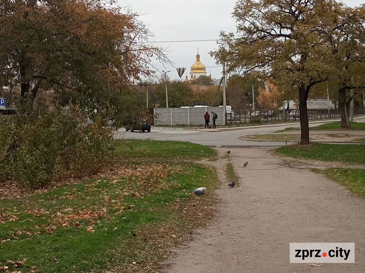 Незвичайне каміння, лелеки та багато дерев - як виглядає запорізький парк у листопаді (фото)