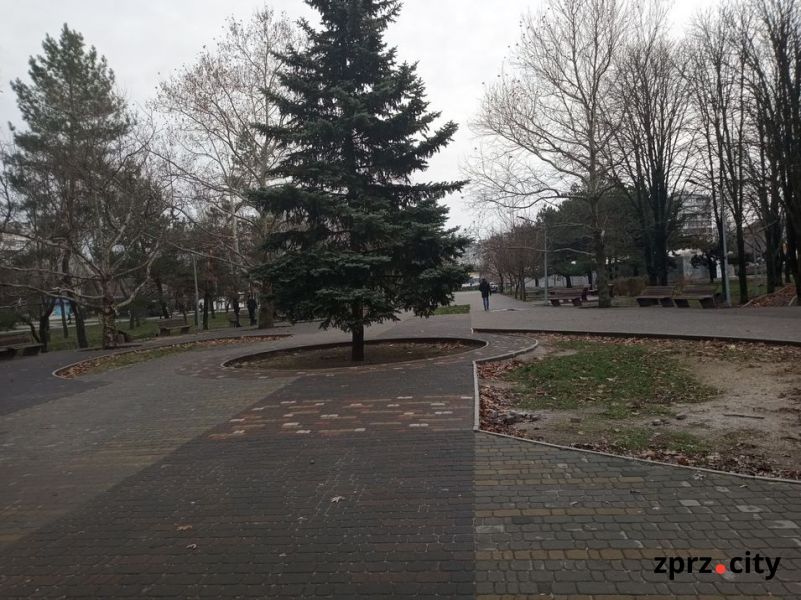 Як виглядає головний парк спального району Запоріжжя у перший місяць зими - фото