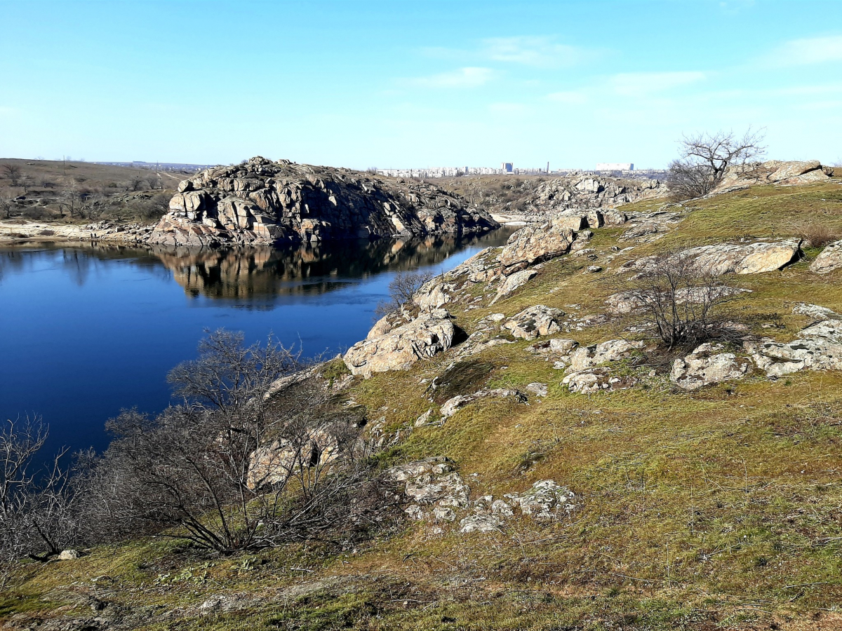 Життя перемагає: червонокнижні птахи не покинули Хортицю та звили нове гніздо (фото)