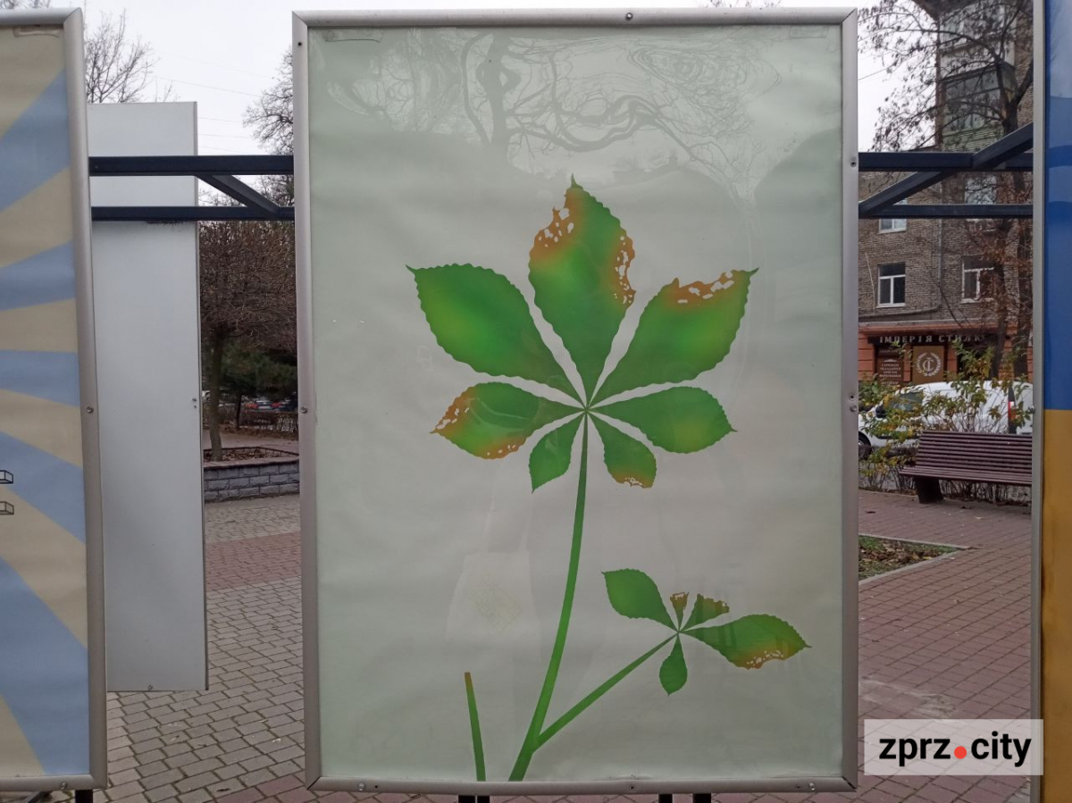 Нова виставка - чиї плакати воєнного часу можна побачити у Запоріжжі просто неба (фото)