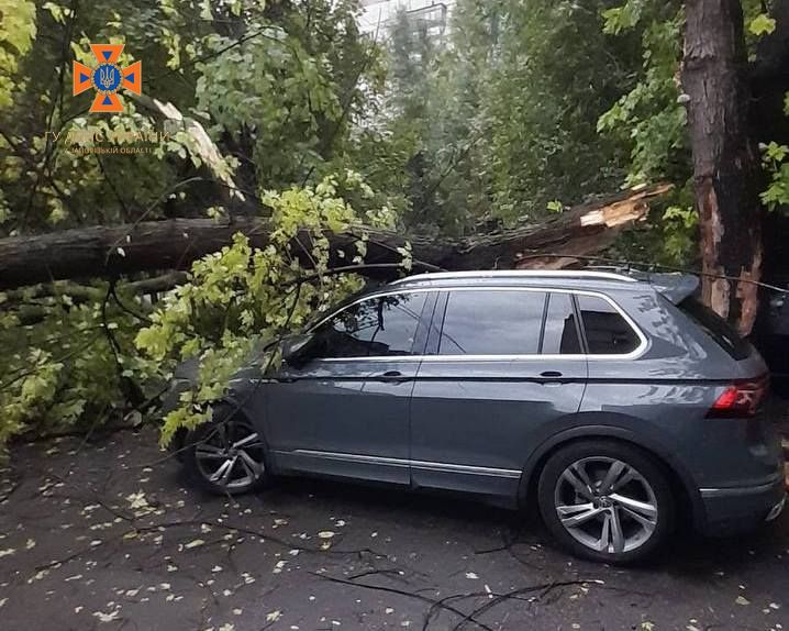 Повалені дерева та розбиті авто: які наслідки негоди у Запоріжжі (фото)