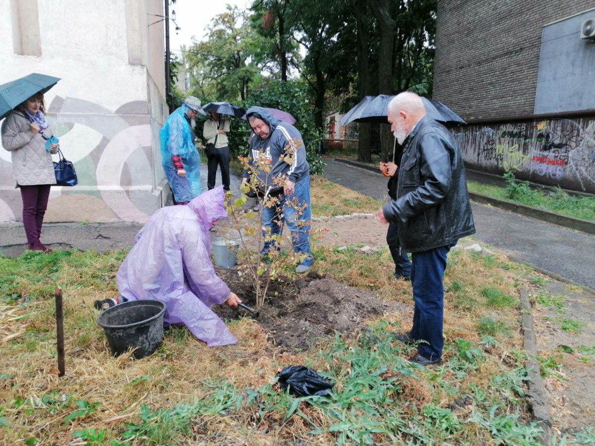 На своє свято запорізькі художники посадили перед музеєм символ незламності: фото