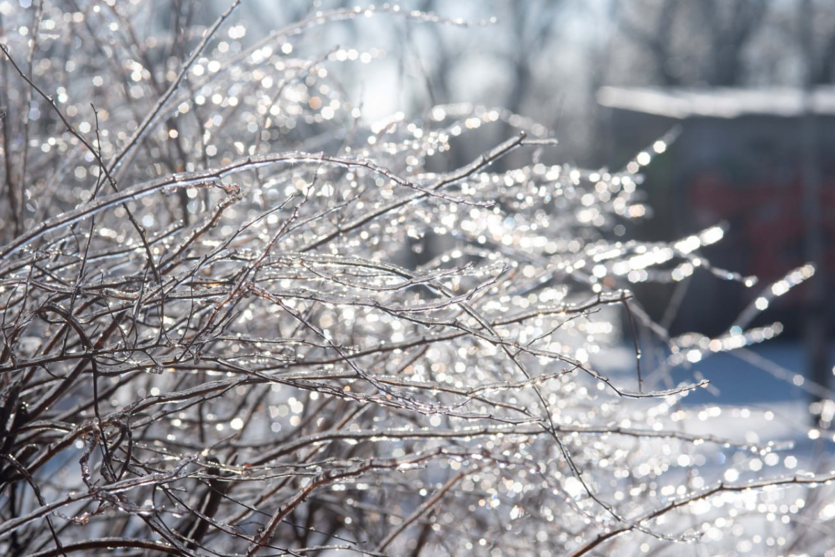 Кришталева краса - парк у центрі Запоріжжя вкрився снігом та льодом (фото)
