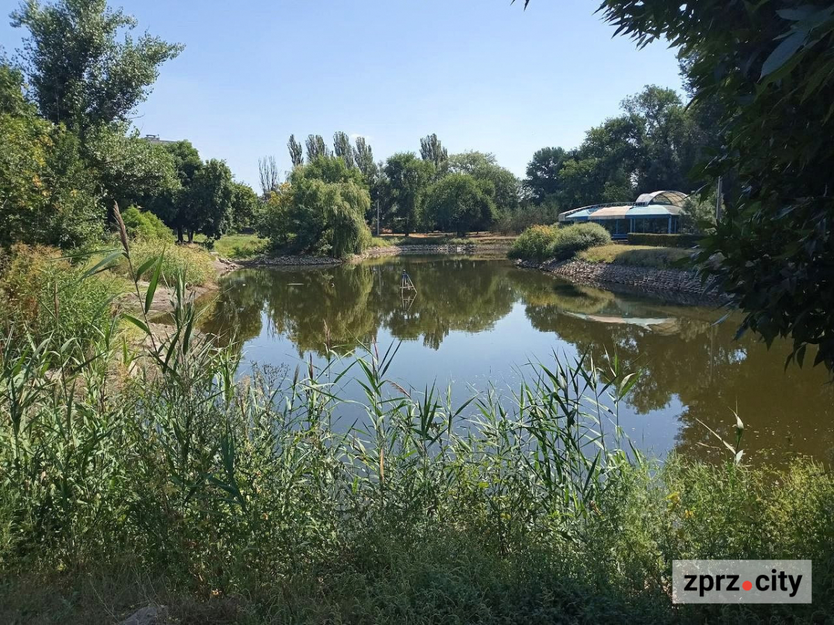"Дубовий гай" у Запоріжжі в серпні 2026 року. Фото: Світлана Олійник