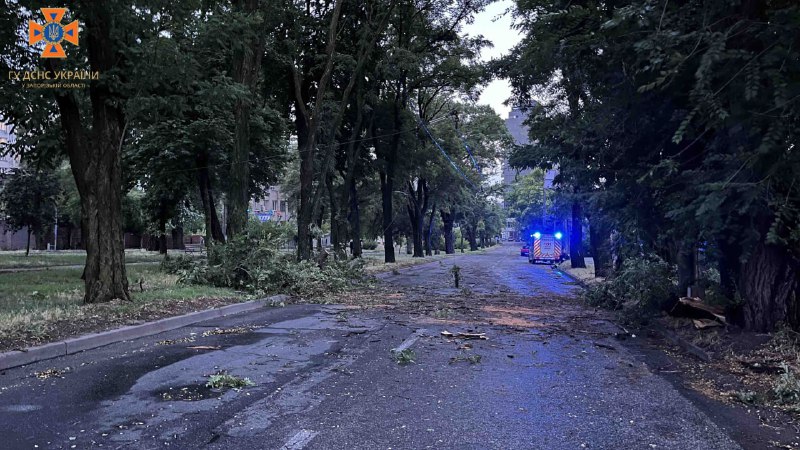 Дерева падали на автомобілі та будинки: що накоїла негода в Запоріжжі - фото, відео