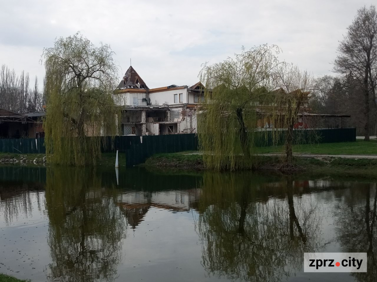 Сезон магнолій і лебеді: у вихідні в запорізькому парку був аншлаг - фото