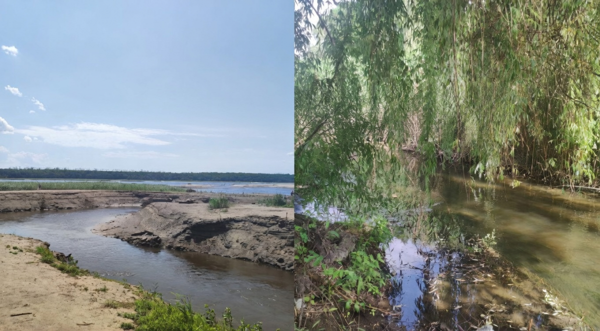 Дніпро стабілізується, а малі водойми гинуть: експерт розповів, в якому стані перебувають річки Запоріжжя
