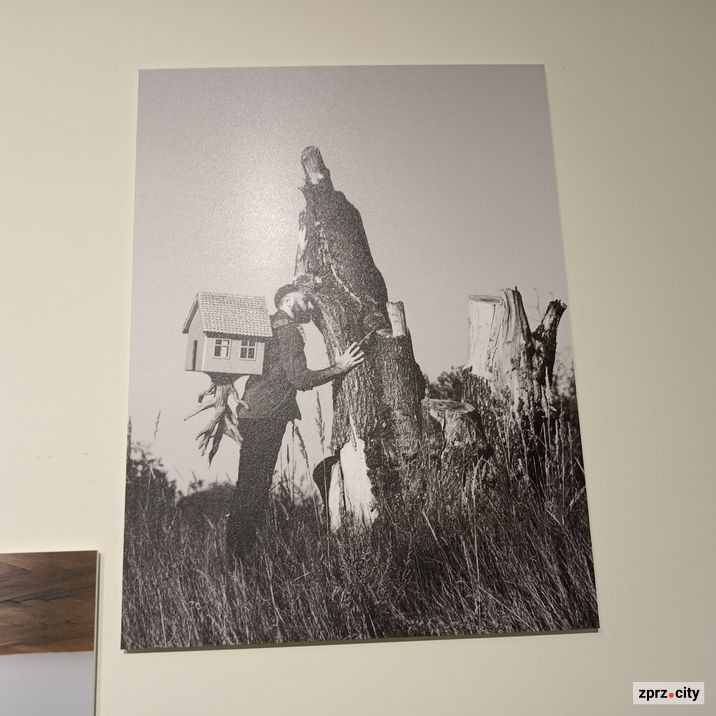 У Запоріжжі показали виставку сучасної молодої української фотографії - фото