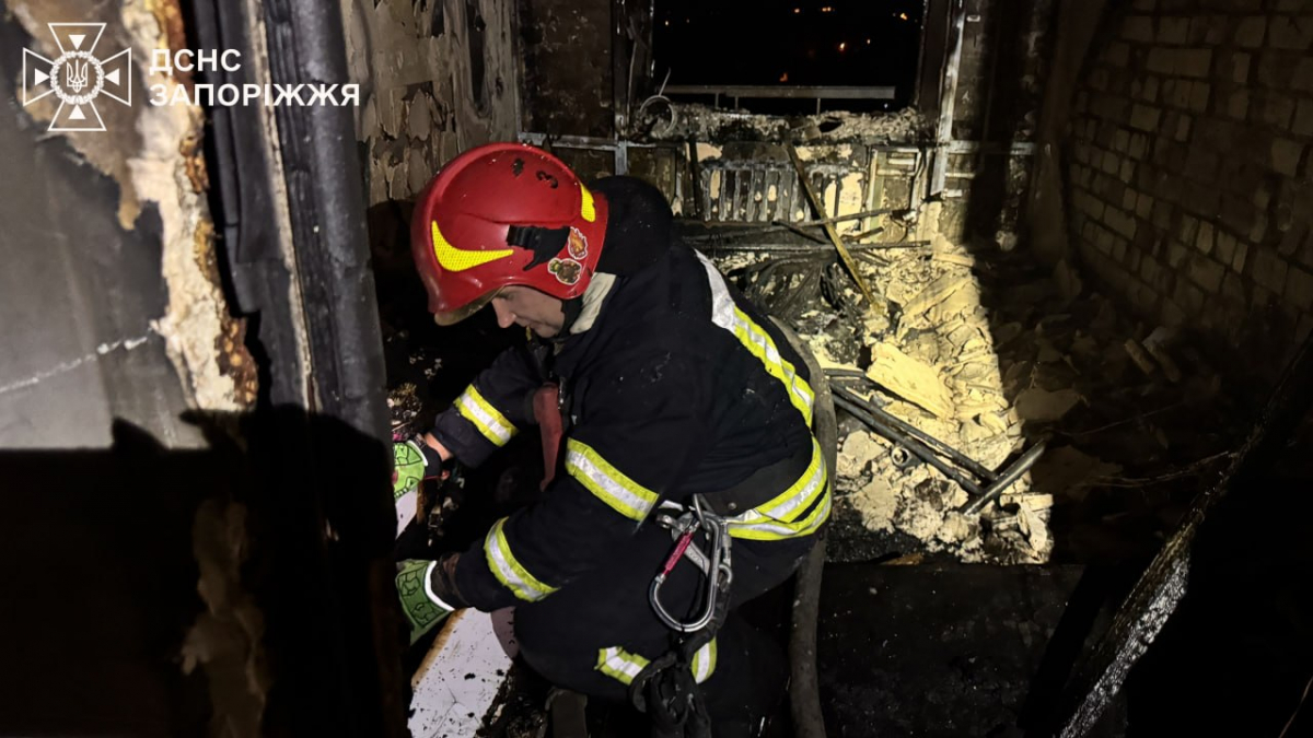  Полум'я спалахнуло на 10 поверсі: у Запоріжжі пожежники врятували чоловіка і песика (фото, відео)