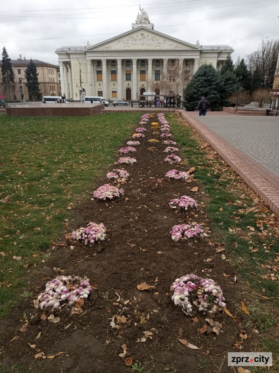 Як запорізький сквер виглядає на початку грудня - зовсім не по-зимовому (фото)