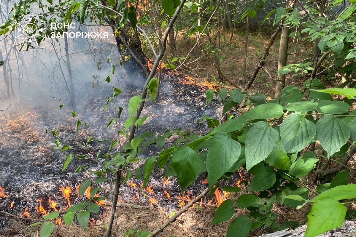 Понад тисяча ударів: на Запоріжжі дві людини загинули, ще 11 поранено внаслідок ворожих атак (фото, відео)