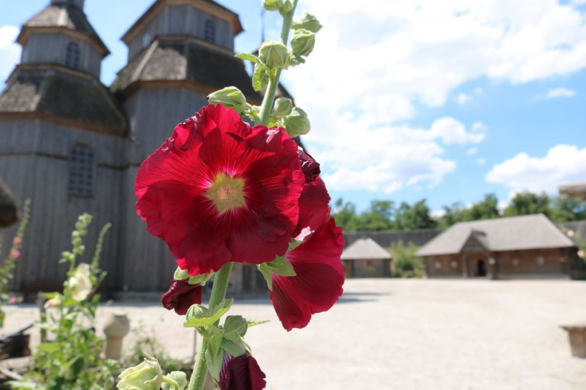 Як комплекс "Запорозька Січ" працює під час повномасштабної війни - фоторепортаж