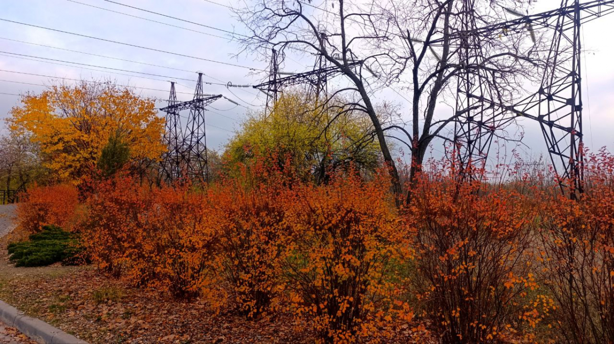 Тепло й без дощу - прогноз погоди у Запоріжжі на 6–7 листопада