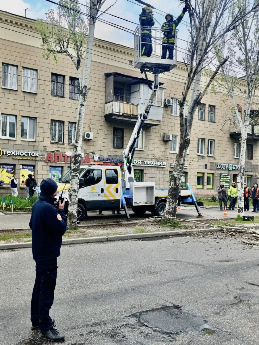 Нависла небезпека: у Запоріжжі аварійна гілка стривожила мешканців (фото)