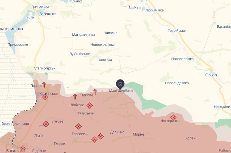 Відновлено контроль над Малими Щербаками - ЗСУ підняли український прапор над селом (відео)