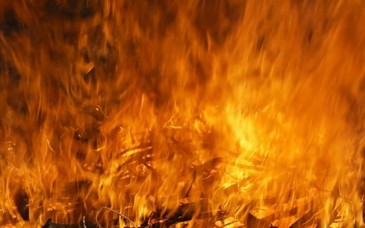 Під час пожежі у власному будинку у Запорізькому районі загинув чоловік - подробиці