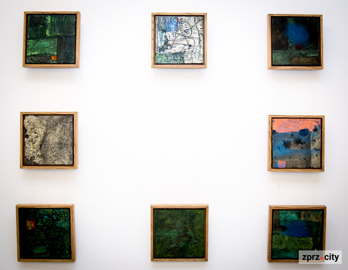 Запоріжжя стало першим містом, де київський художник показав незвичайний проєкт - фото