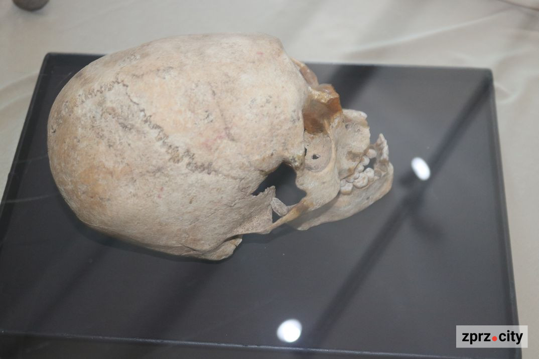 День археолога: Запоріжанка розповіла, як знайшла незвичайний людський череп