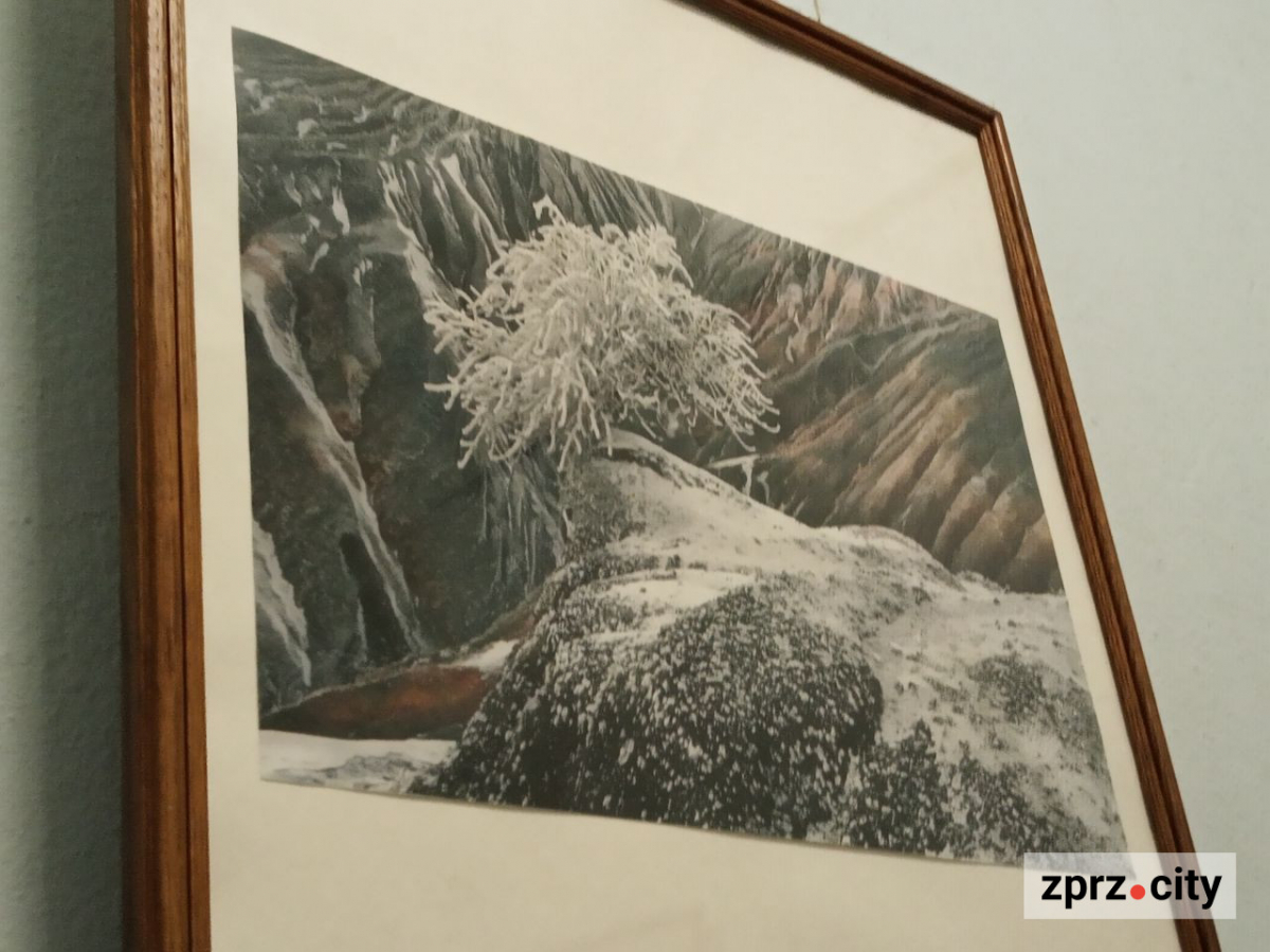 У Запоріжжі відкрили виставку найкращих світлин українських фотохудожників - вхід безкоштовний