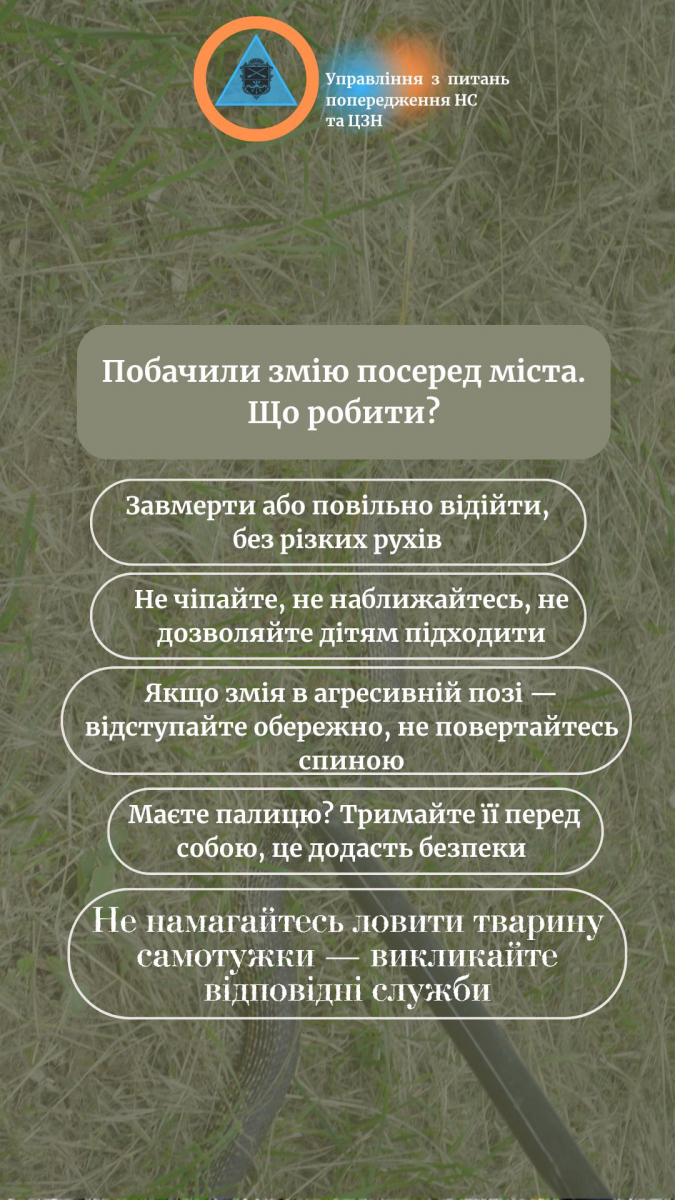 Як правильно поводитися та куди звертатися, якщо натрапили на змію - поради запорізьких фахівців