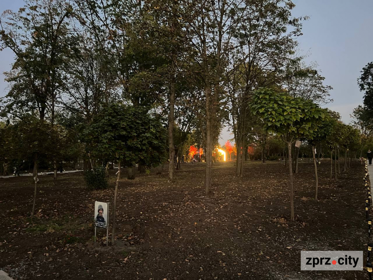 Понад 400 іменних дерев і «Коло пам’яті»: на Хортиці відкрили Парк Честі (фото)